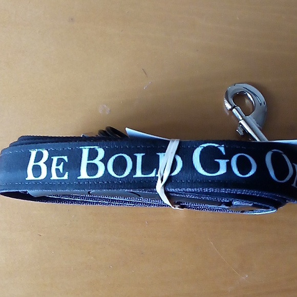 LED light up one inch dog lead - Picture 2 of 4